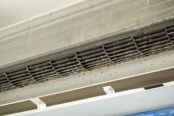 Air Duct Mold Removal in NJ